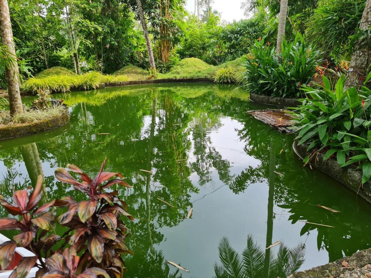 Amritham Holidays Homestay Trivandrum Thiruvananthapuram Extérieur photo