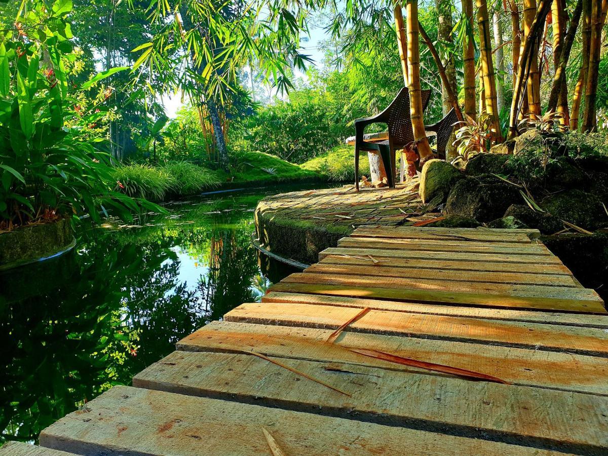 Amritham Holidays Homestay Trivandrum Thiruvananthapuram Extérieur photo