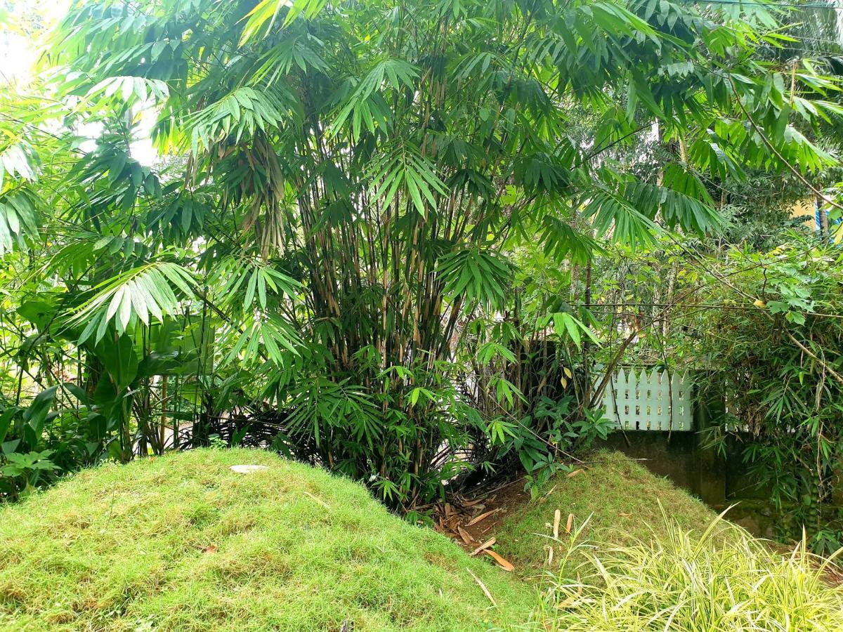 Amritham Holidays Homestay Trivandrum Thiruvananthapuram Extérieur photo