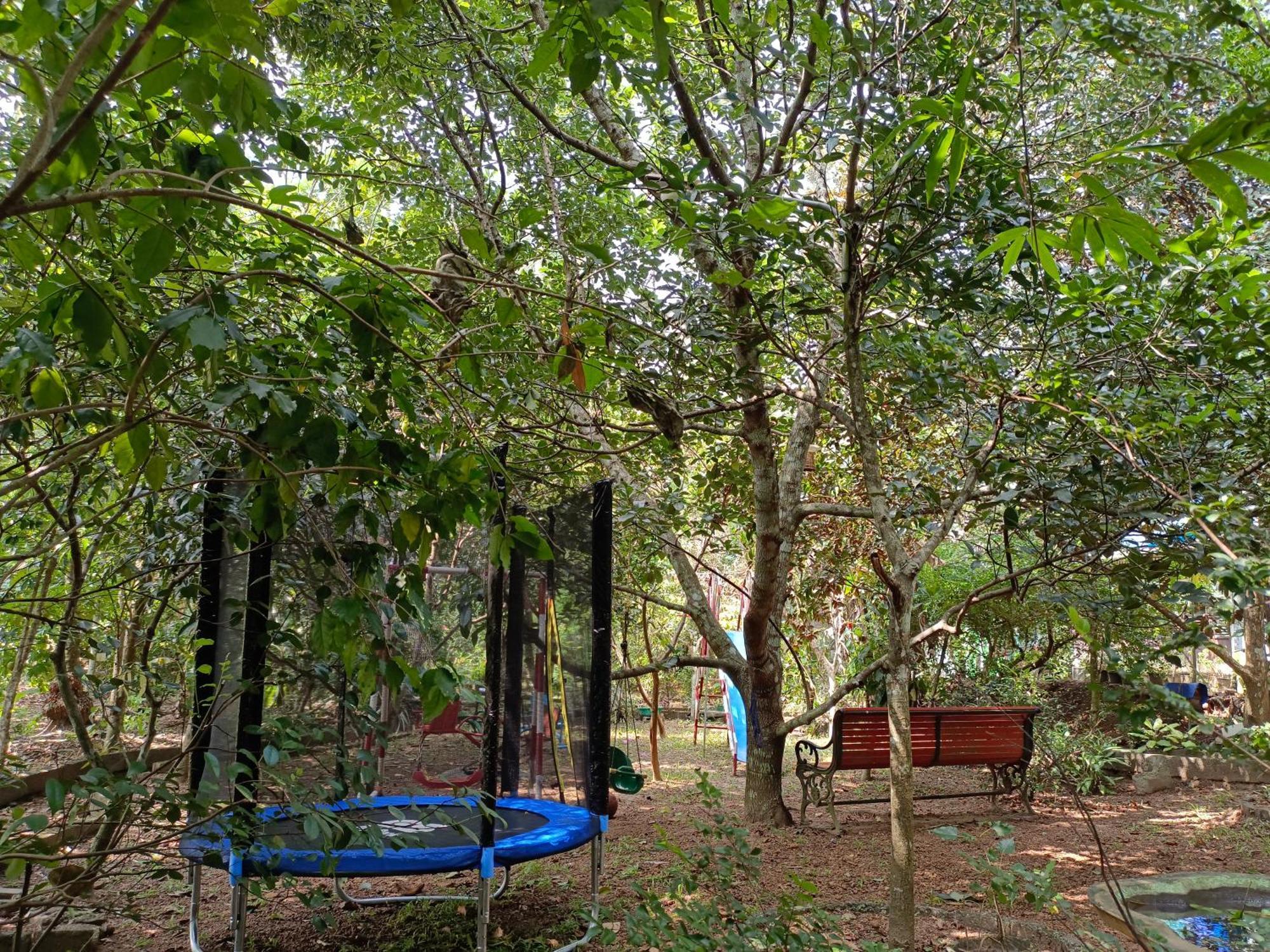 Amritham Holidays Homestay Trivandrum Thiruvananthapuram Extérieur photo
